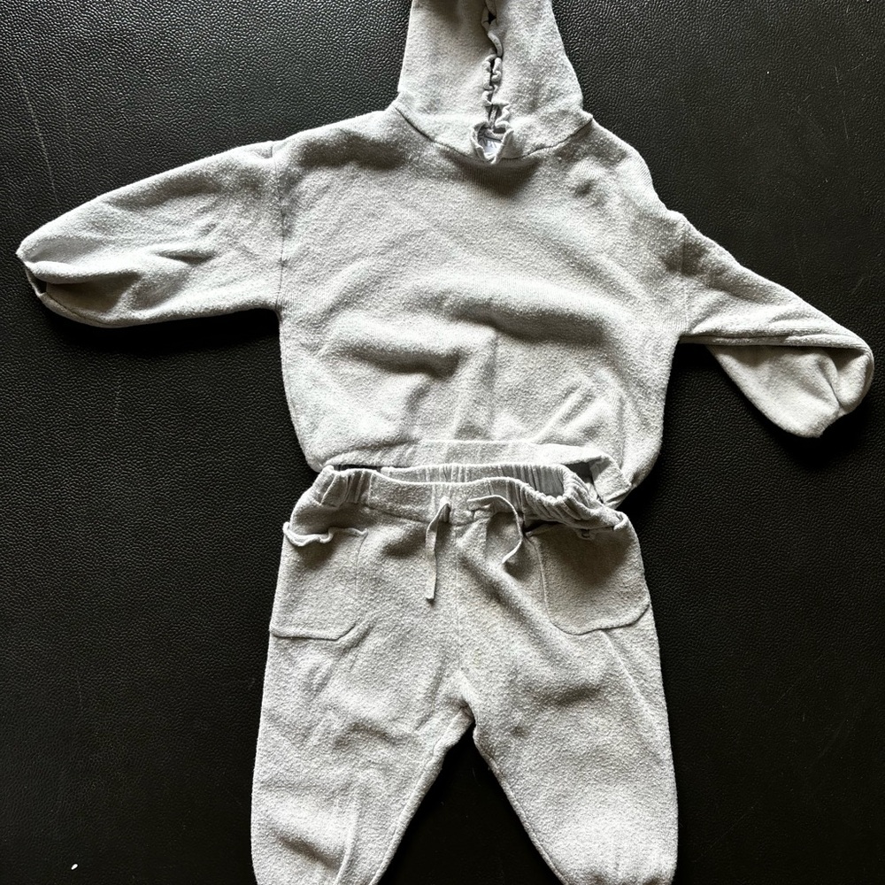 Zara Toddler Sweat set
